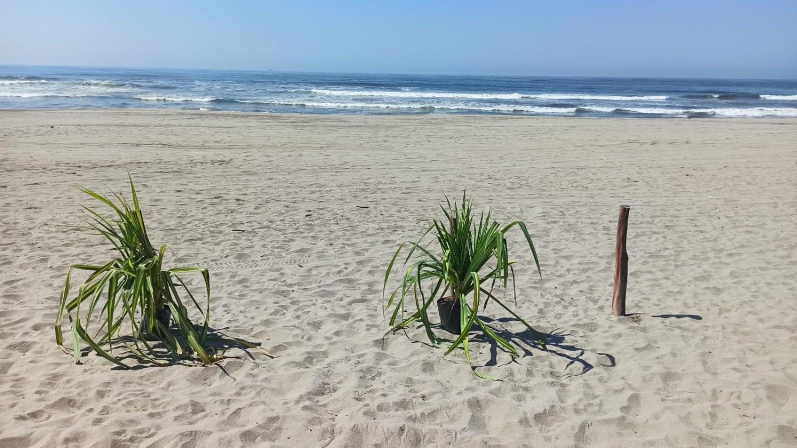 Quinta Diamante Hotel Barra Vieja المظهر الخارجي الصورة